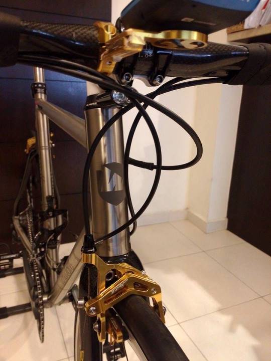 Custom Titanium Bicycle with Ultegra Groupset Ridea Chainrings TRP Brakes Rolf Prima Vigor Wheelset