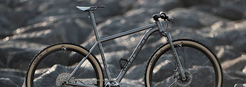 wittson bestia titanium 29er bicycle